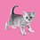 Kitten_EASY