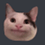 xChris